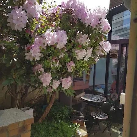 Tatil Evi L'estivale Maison Cosy Avec Veranda Et Climatisation *